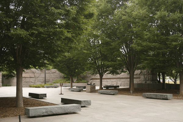 Deciduous allee at the FDR Memorial