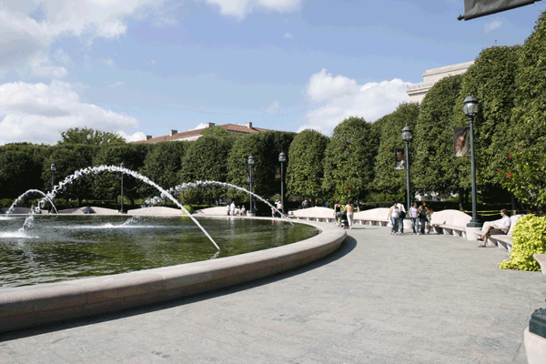 Tree Hedge Sculpture - Garden 2