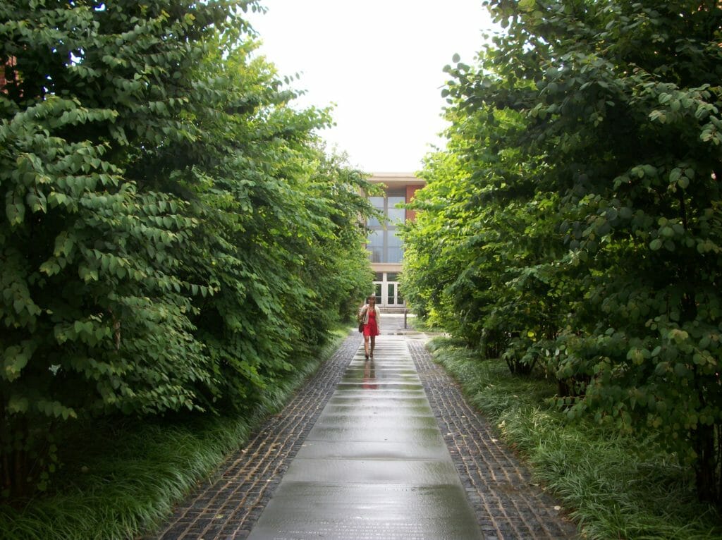 Halka Trees at Butler College at Princeton University